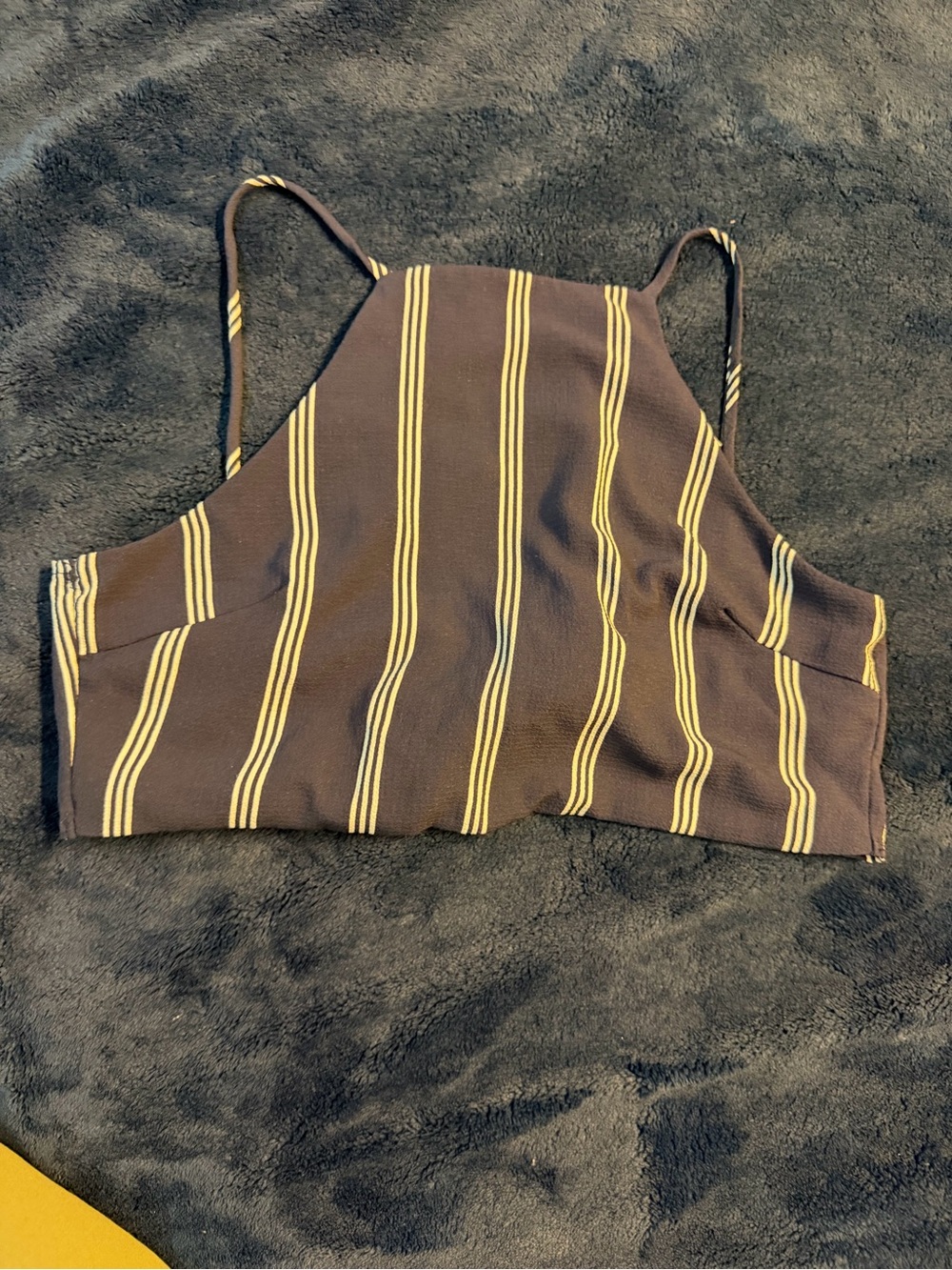 Striped Blue & White Cropped Halter Top